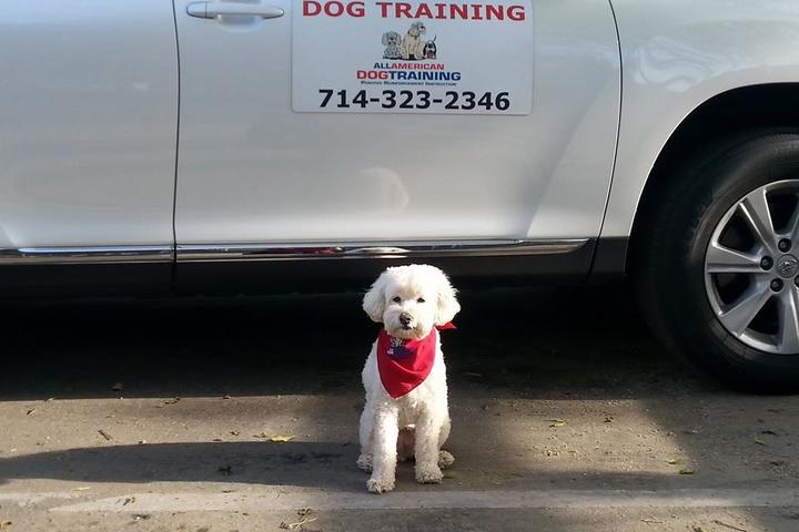 Pet Friendly All American Dog Training