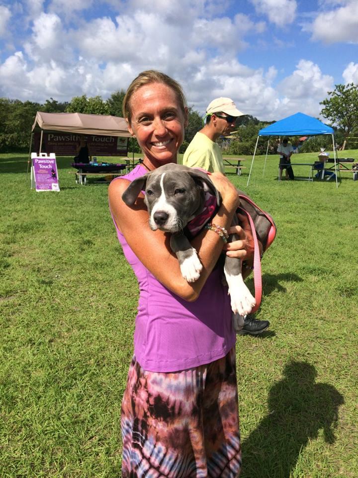 healing touch for dogs