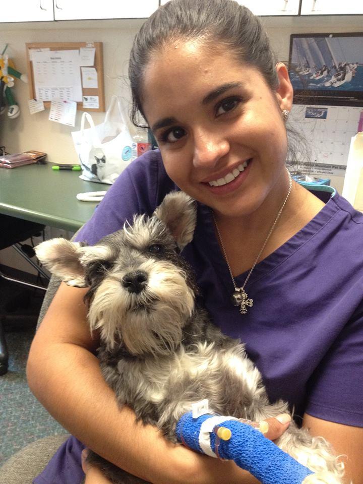 Fremont Veterinary Hospital