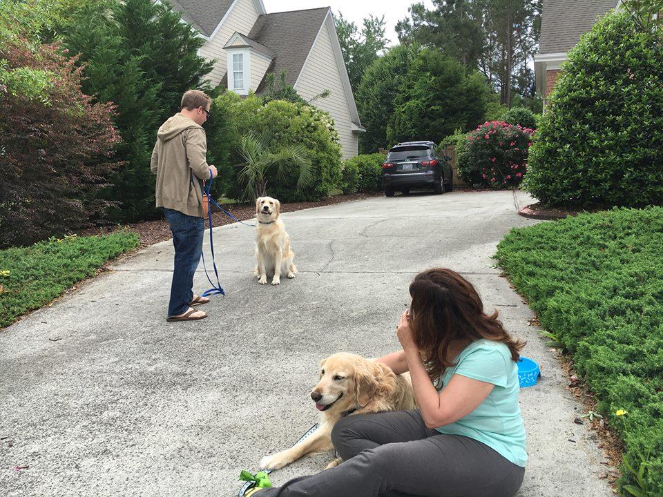 off leash k9 training wilmington