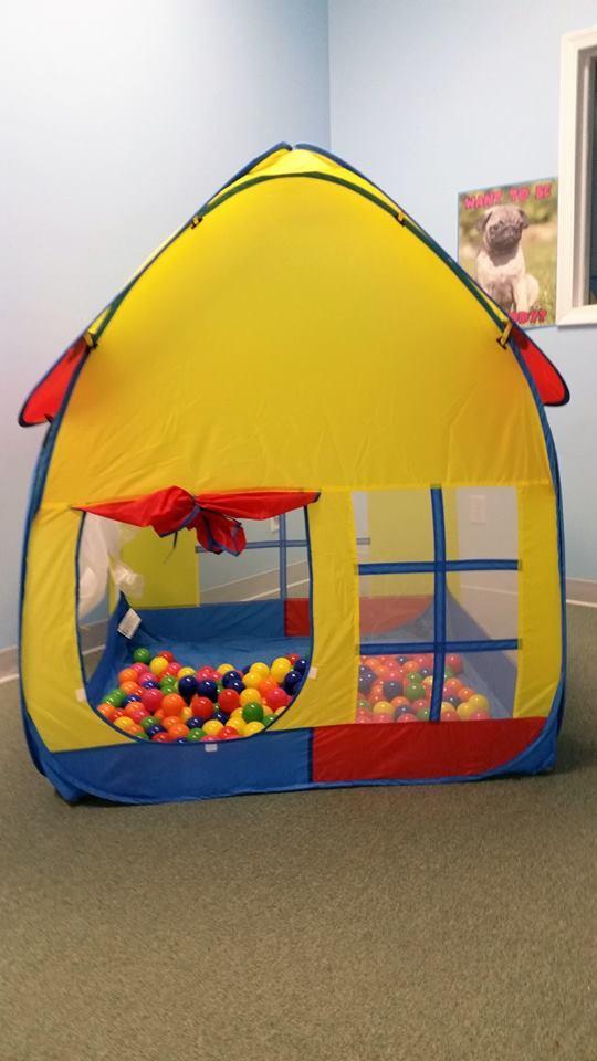 Directory Of Dog Trainers In Maryland Bringfido