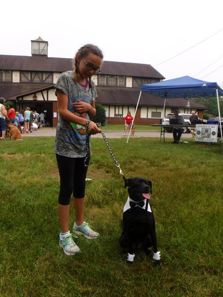 Boxers Bed & Biscuits