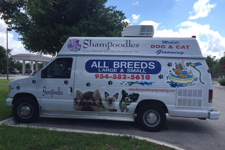Pet Friendly Shampoodles Pet Grooming