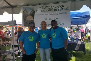 Negola S Ark Veterinary Hospital