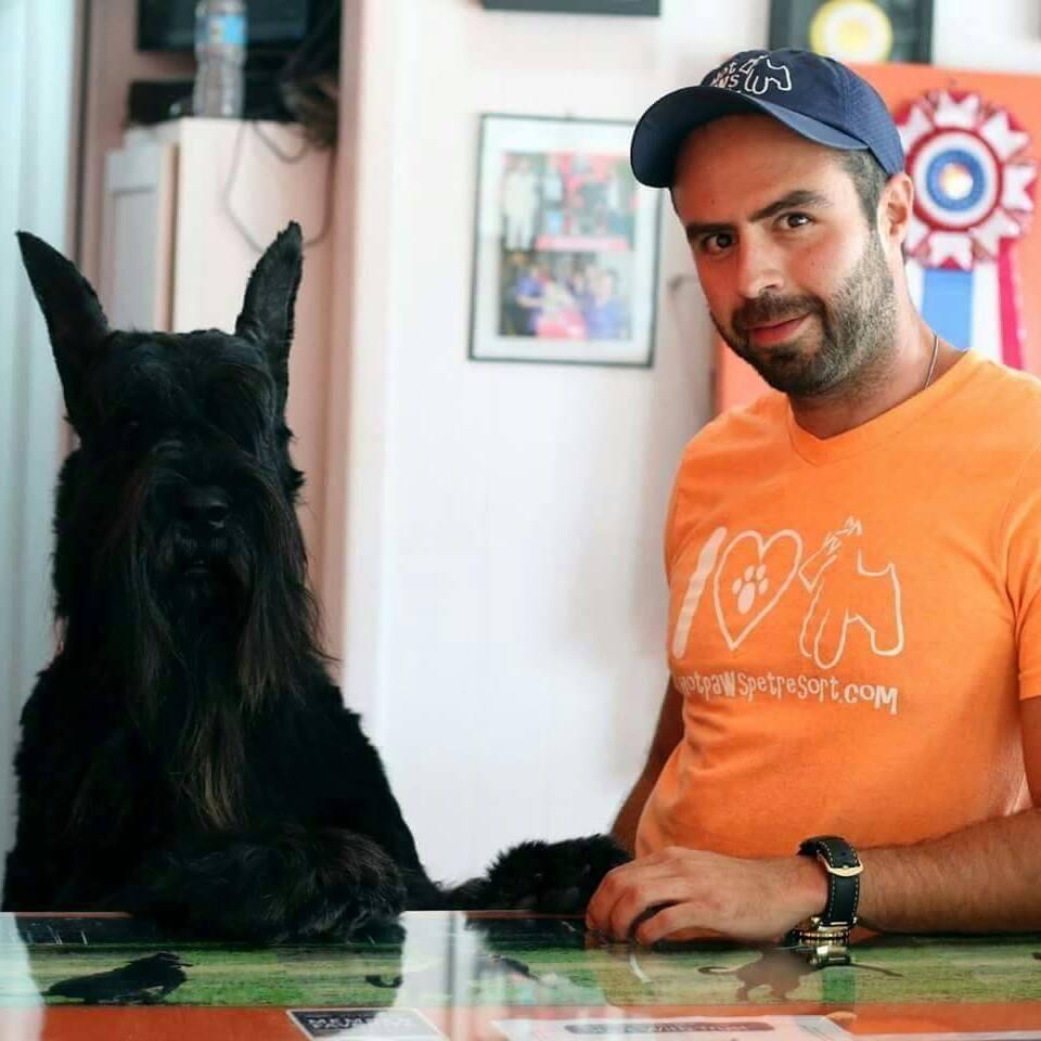 Pet Friendly Hot Paws Pet Spa & Resort