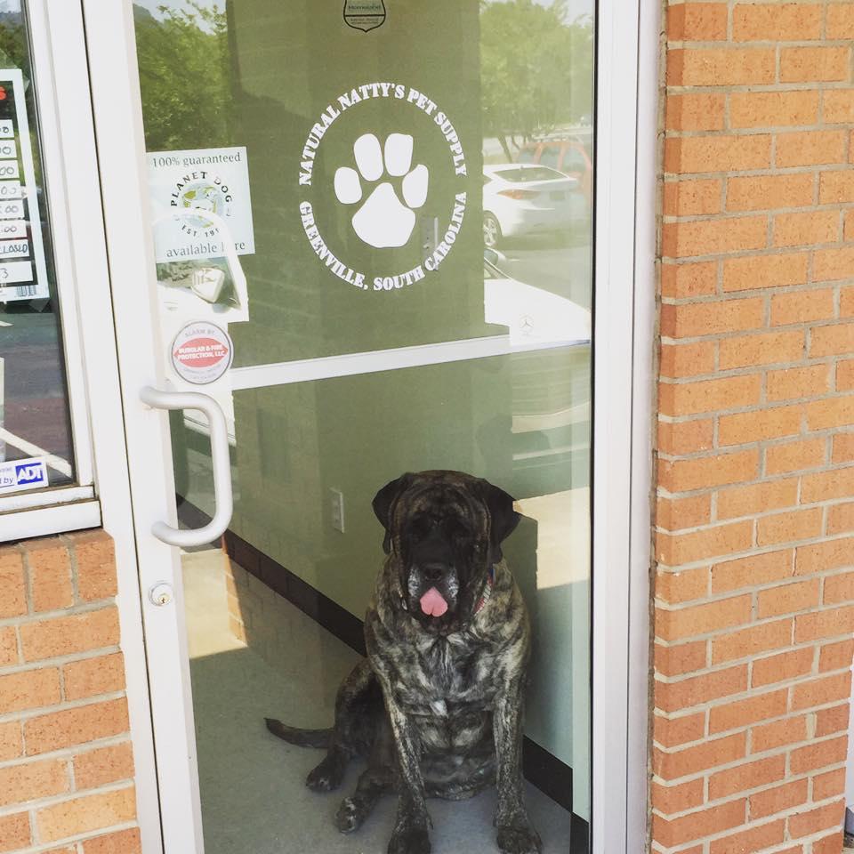 saluda river pet supply