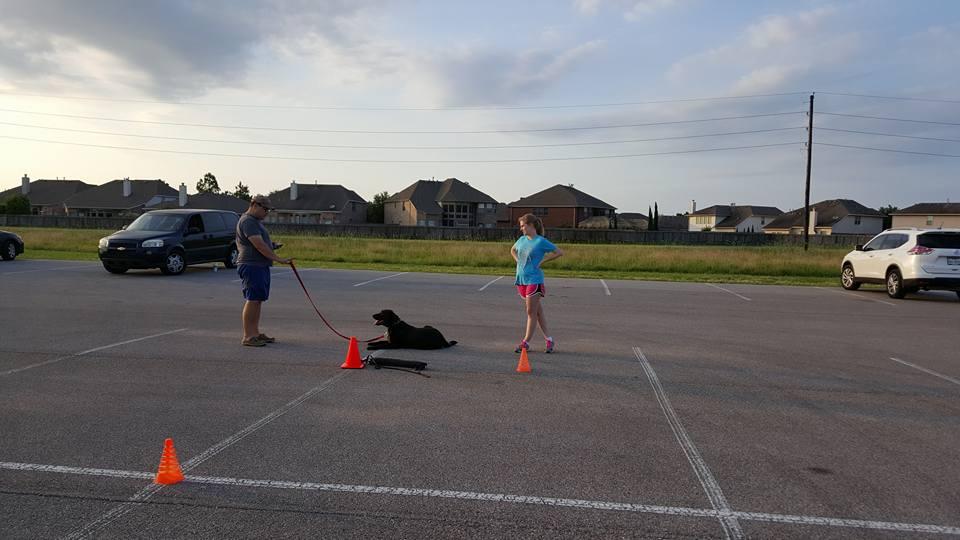 Total Control K9 College