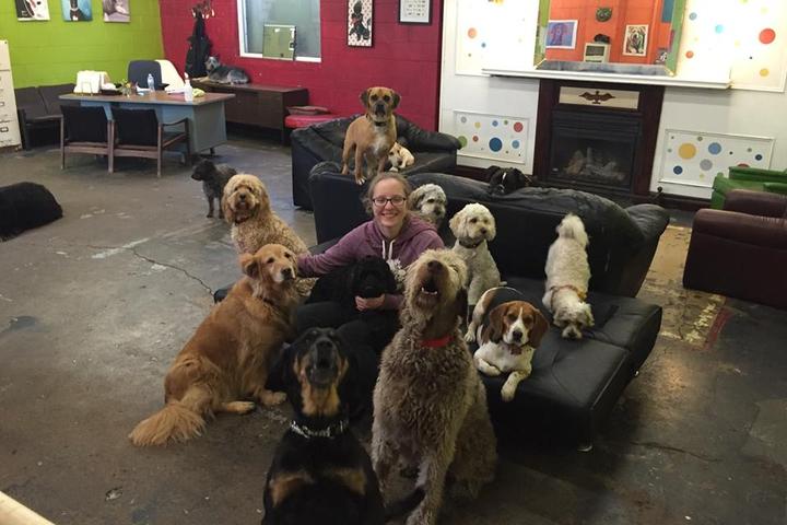 Pet Friendly Home Buddies Doggie Day Care