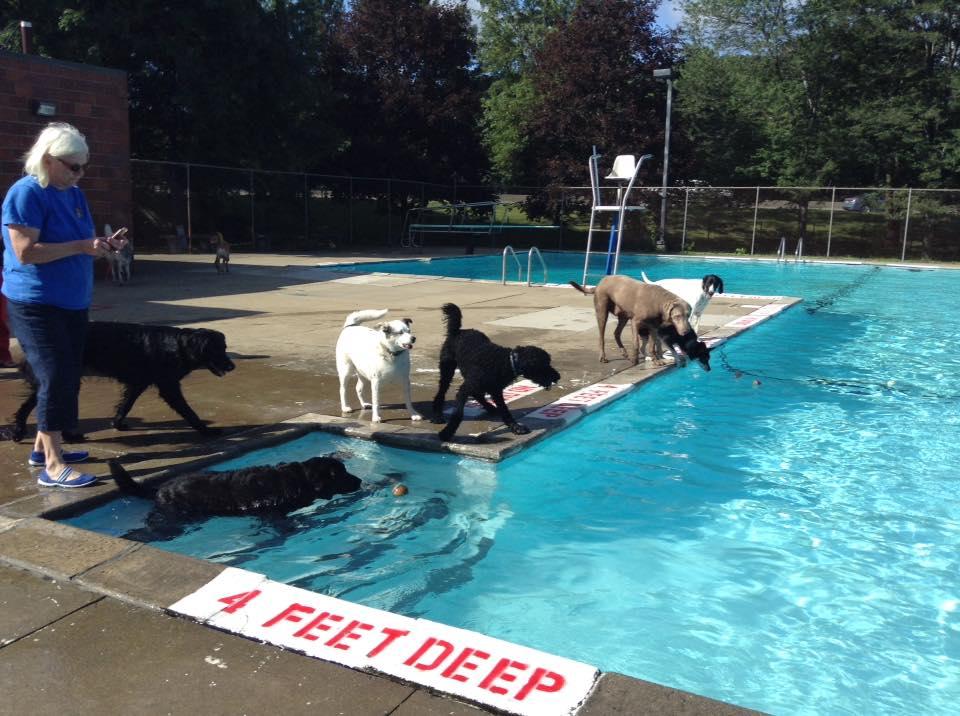 Happy Tails Day Care & Pet Resort