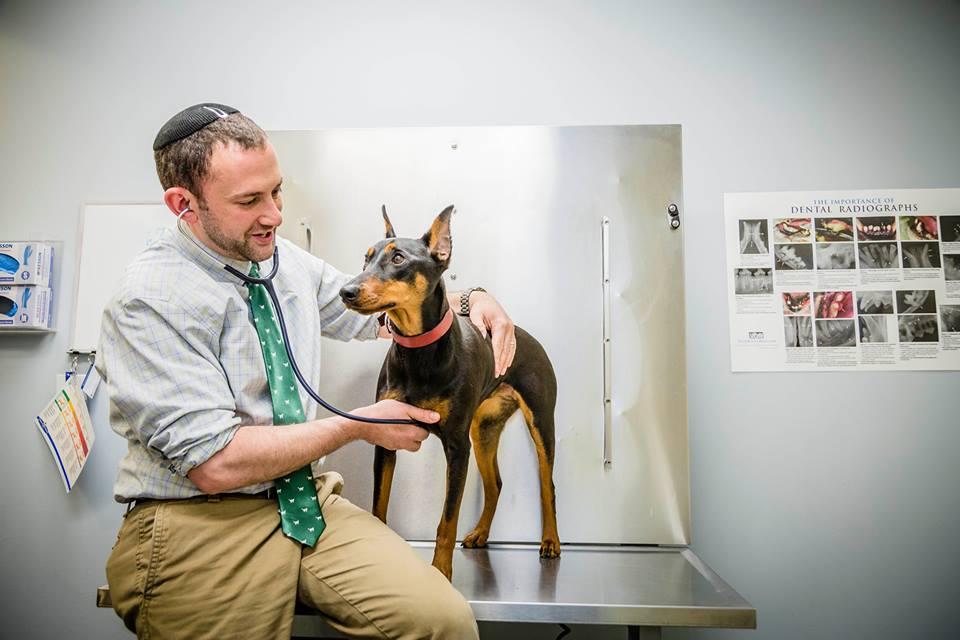 Center City Veterinary Hospital