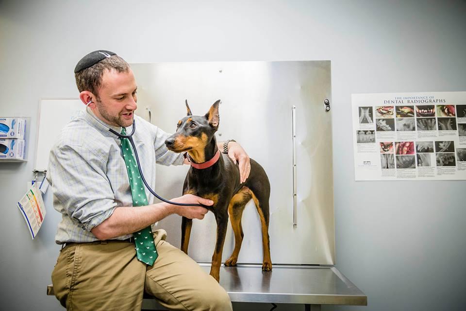 Pet Friendly Center City Veterinary Hospital