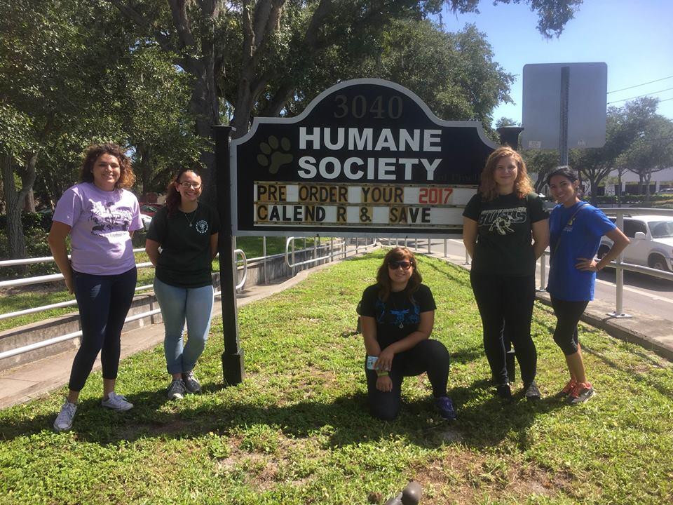 Pet Friendly Humane Society of Pinellas