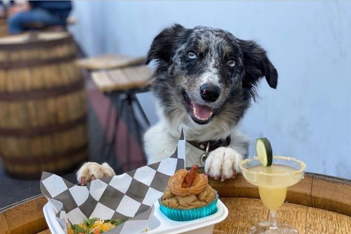 Pet Friendly The Pup Shack, A Food Truck for Dogs
