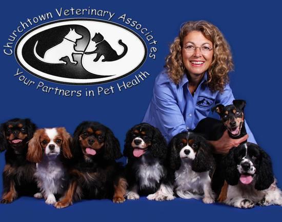 Pet Friendly Churchtown Veterinary