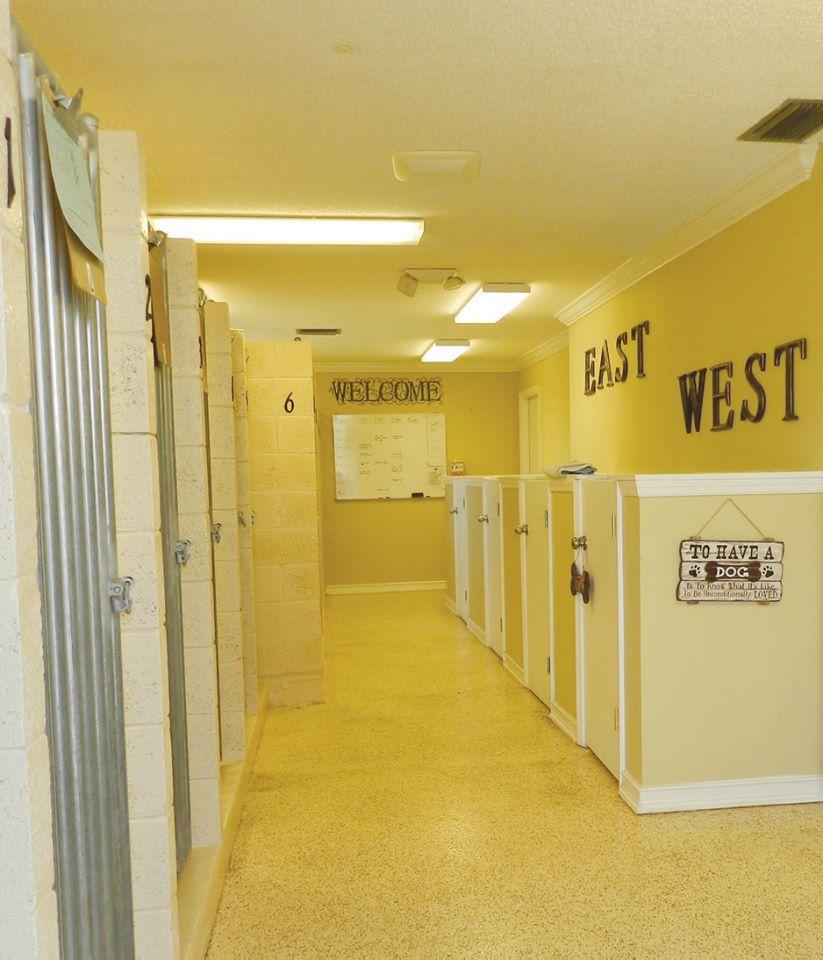 Pet Friendly East West Veterinary Care Center