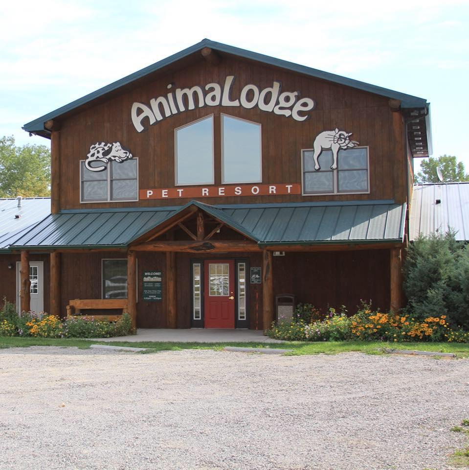Pet Friendly Animal Lodge