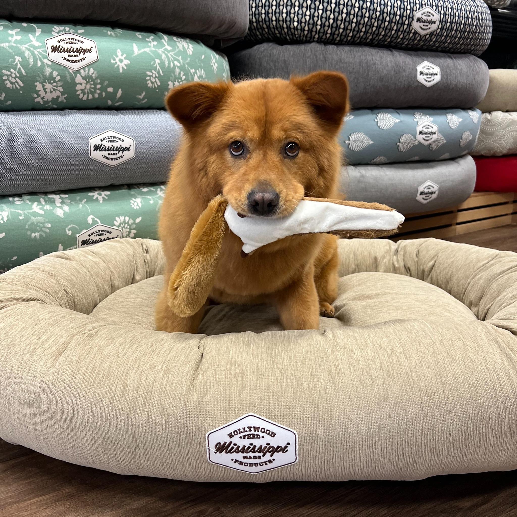 Pet Friendly Hollywood Feed Simpsonville