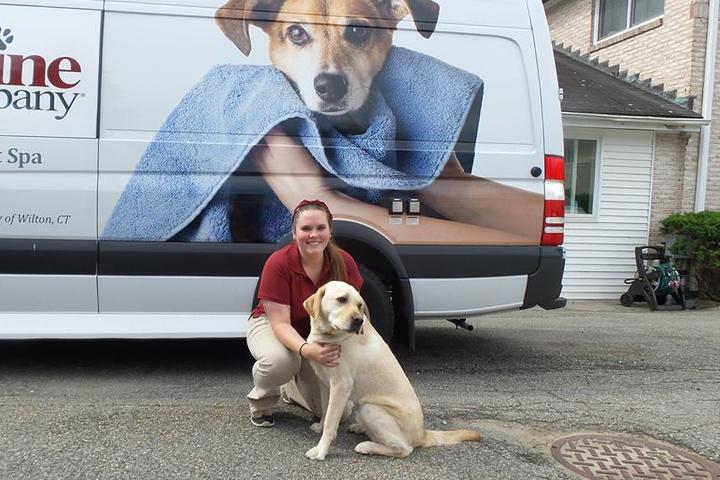 Directory of Pet Businesses in Connecticut - BringFido Directory of Pet Businesses in Connecticut - BringFido