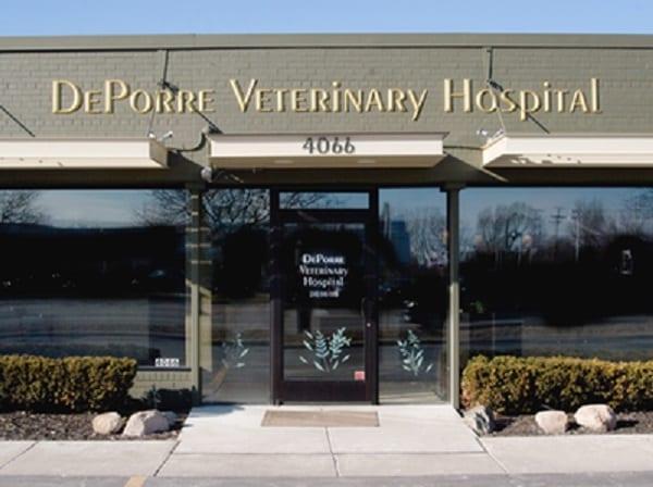 Pet Friendly DePorre Veterinary Hospital