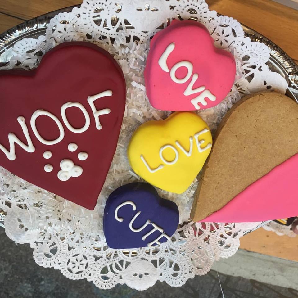 New England Dog Biscuit Company