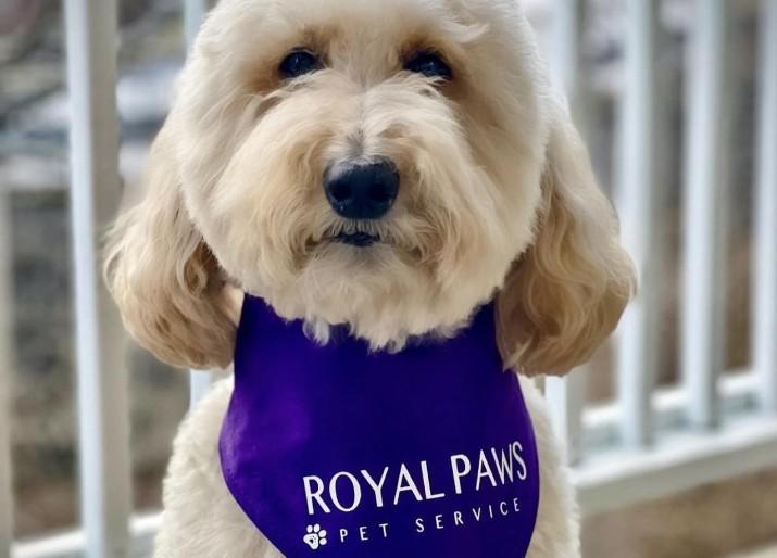 Pet Friendly Royal Paws Pet Service