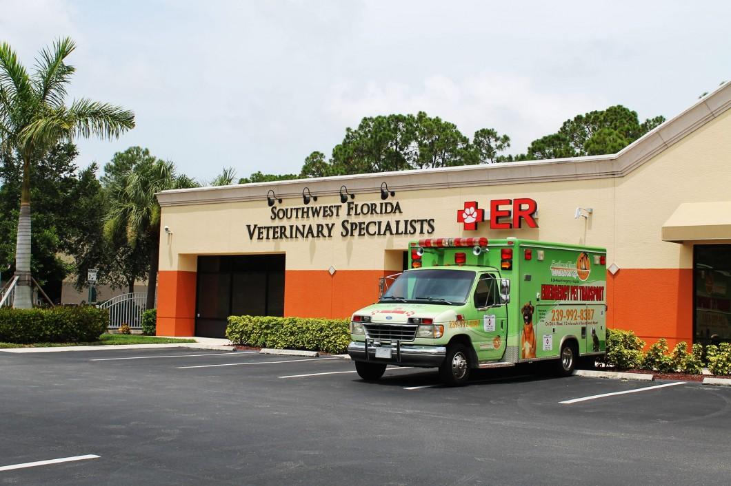 Pet Friendly Southwest Florida Veterinary Specialists & 24 Hour