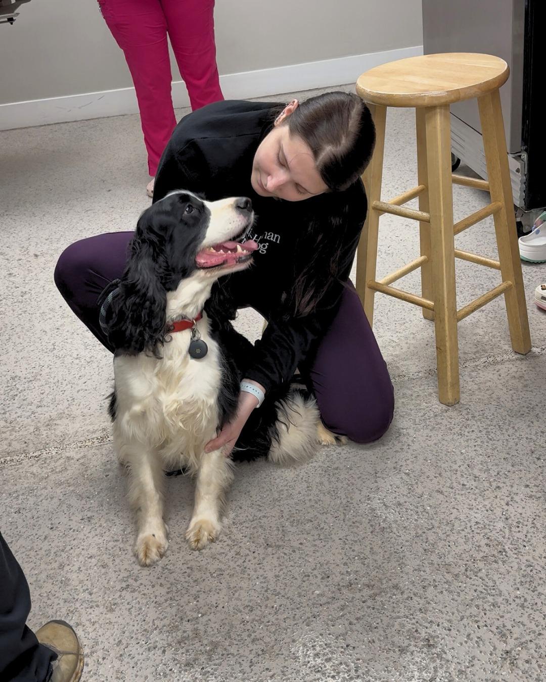 Pet Friendly Beyond Pets Animal Hospital