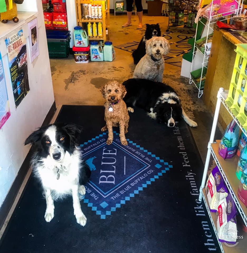 Directory of Pet Stores in Vail CO BringFido