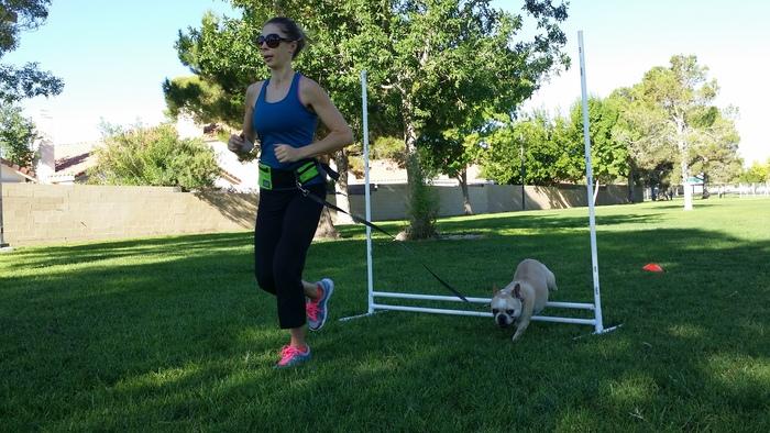 Pet Friendly Paws & Bootcamp