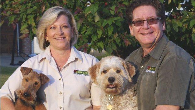 Pet Friendly Bark Busters Dog Training Edmonton