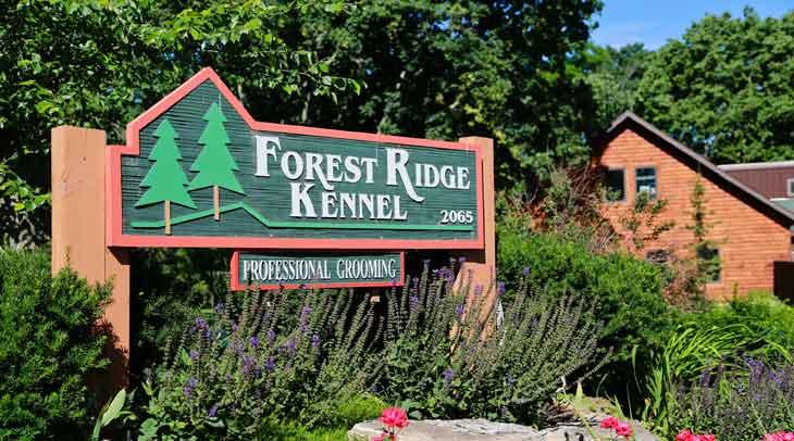 Pet Friendly Forest Ridge Kennel