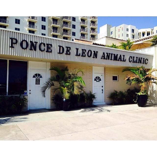 Pet Friendly Ponce de Leon Animal Clinic