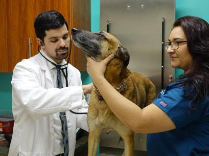 Pet Friendly Neighborhood Veterinary Center