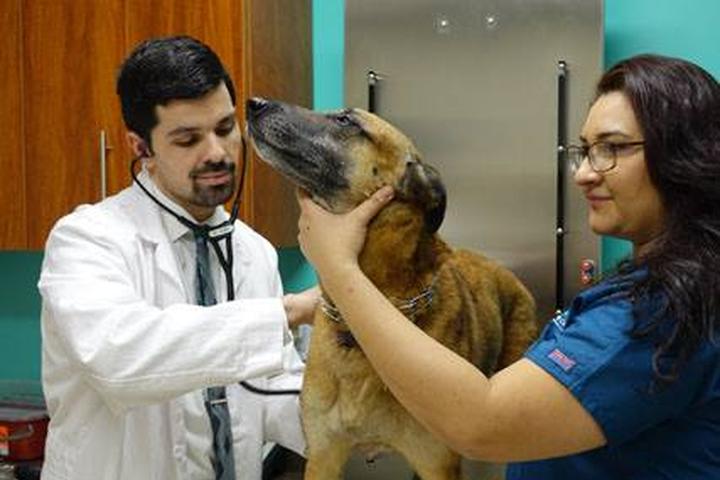 Pet Friendly Neighborhood Veterinary Center