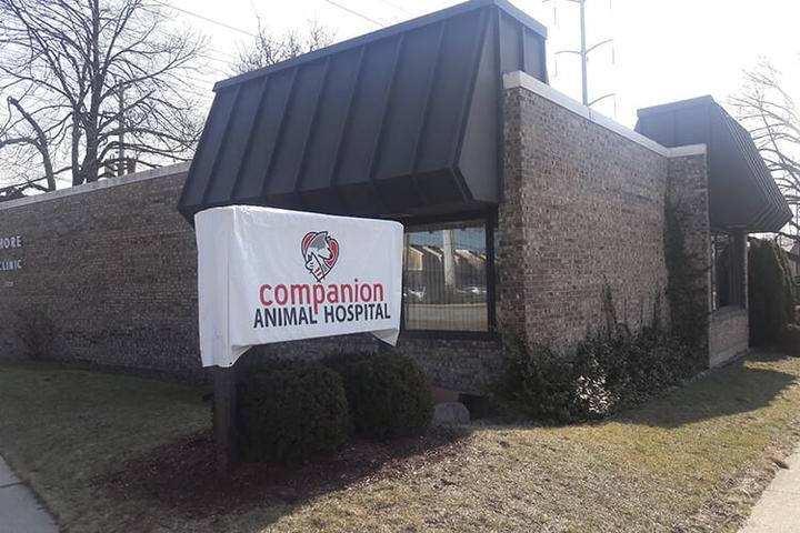 Pet Friendly Companion Animal Hospital of River North