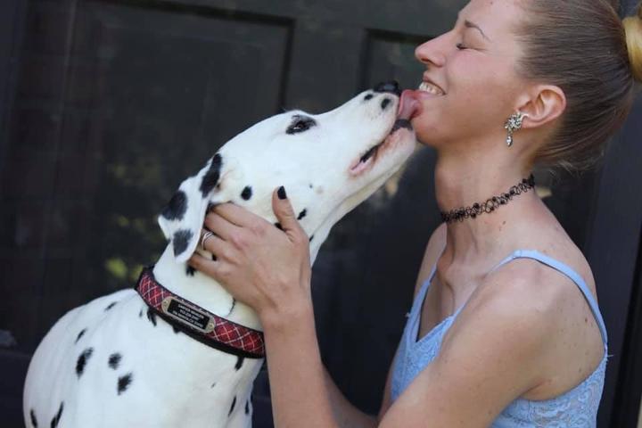 Directory of Animal Shelters in Bluffton, SC - BringFido Directory of Animal Shelters in Bluffton, SC - BringFido