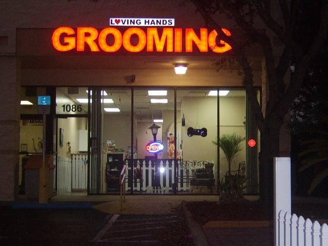 Directory of Dog Grooming in Clermont FL BringFido