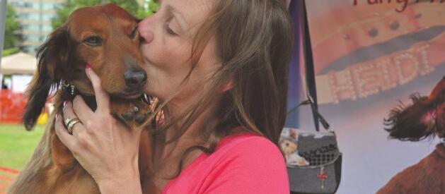 Doreen's Petz Palz Pet Care Doreen's Petz Palz Pet Care