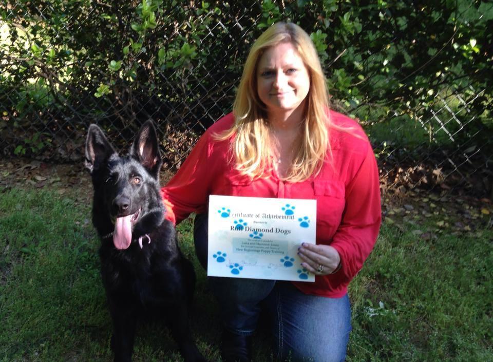 Ruff Diamond Dogs In Home Obedience Training