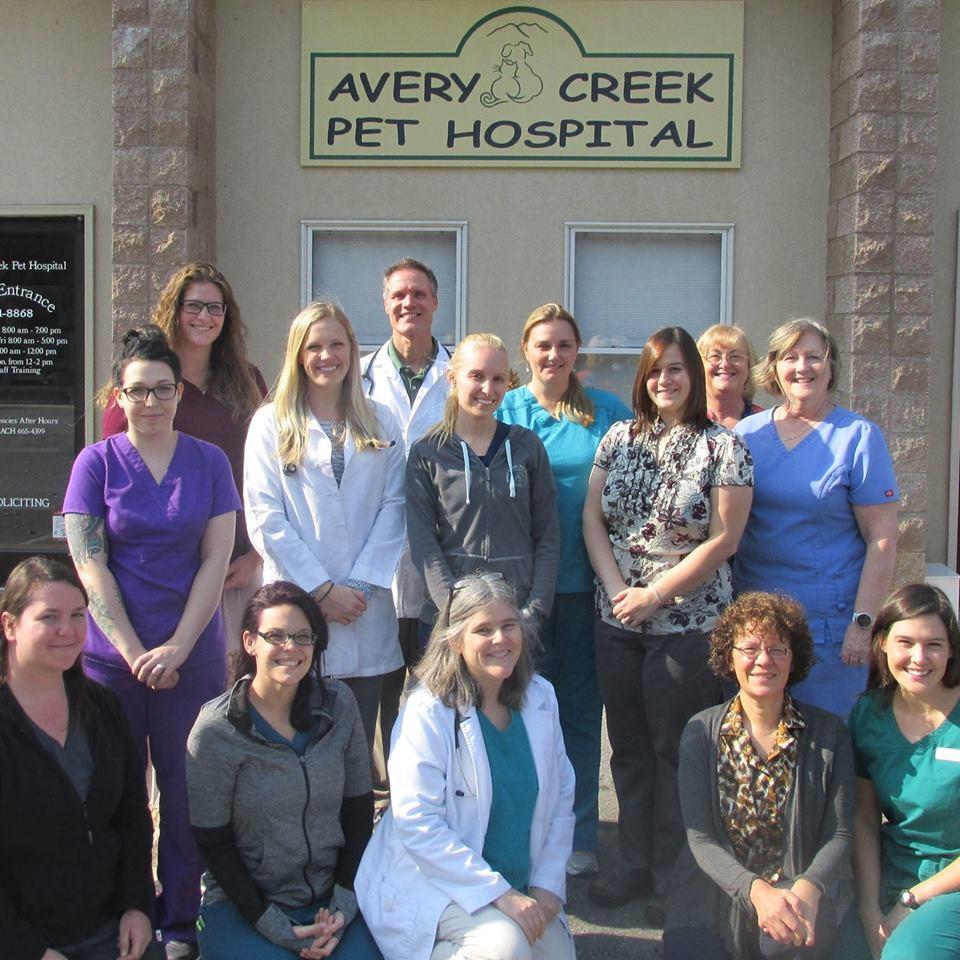 Pet Friendly Avery Creek Pet Hospital