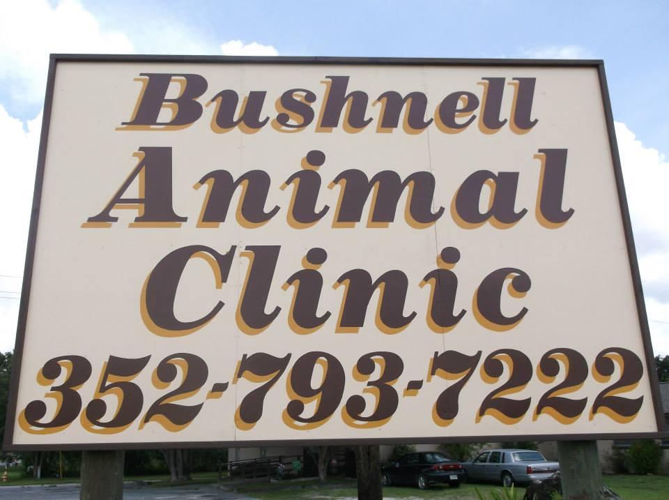 Pet Friendly Bushnell Animal Clinic