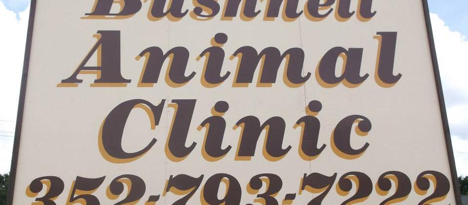 Bushnell Animal Clinic Bushnell Animal Clinic