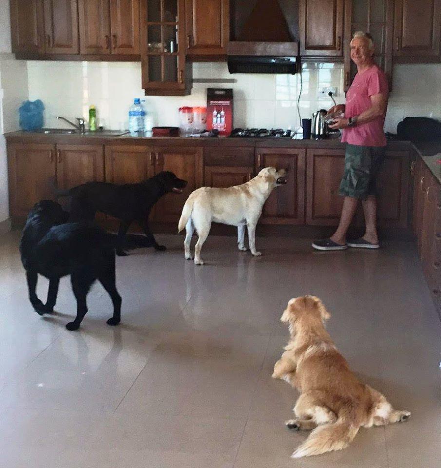 Pet Express Sri Lanka