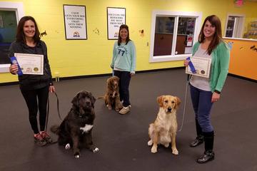 Let S Train Pet Salon