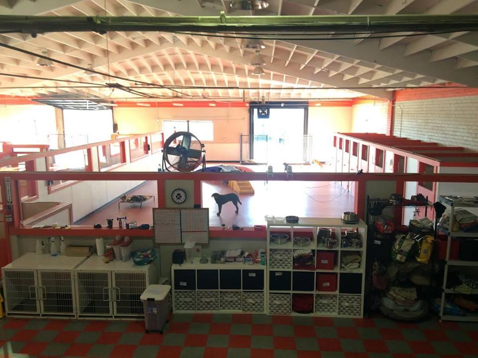 south park doggie daycare lax