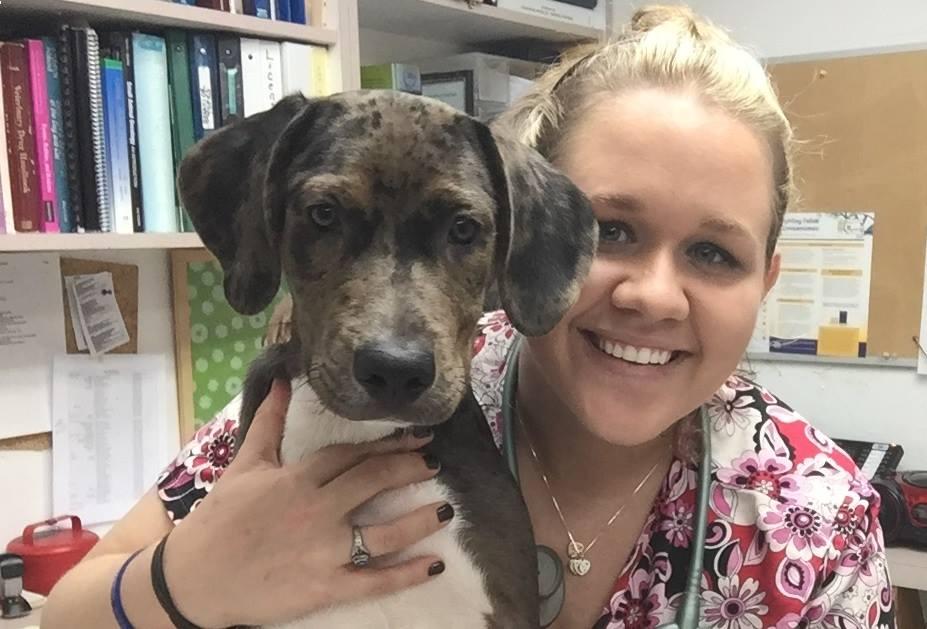 Countryside Animal Hospital