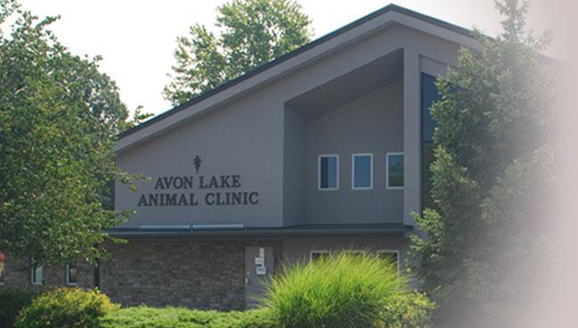 Pet Friendly Avon Lake Animal Clinic