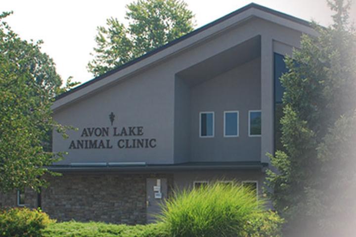 Pet Friendly Avon Lake Animal Clinic