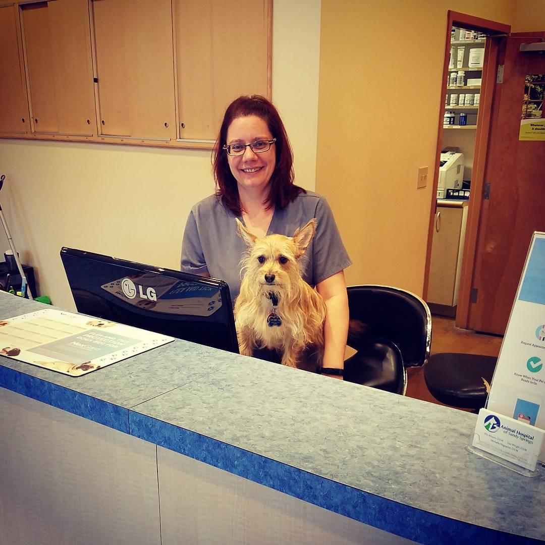 Pet Friendly Animal Hospital of Sandy Springs