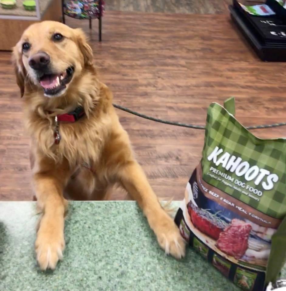 Kahoots store dog food